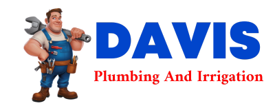 Trusted plumber in DUCHESNE